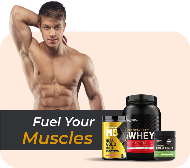 muscle building supplements for men