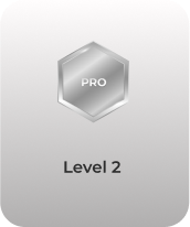 Pro